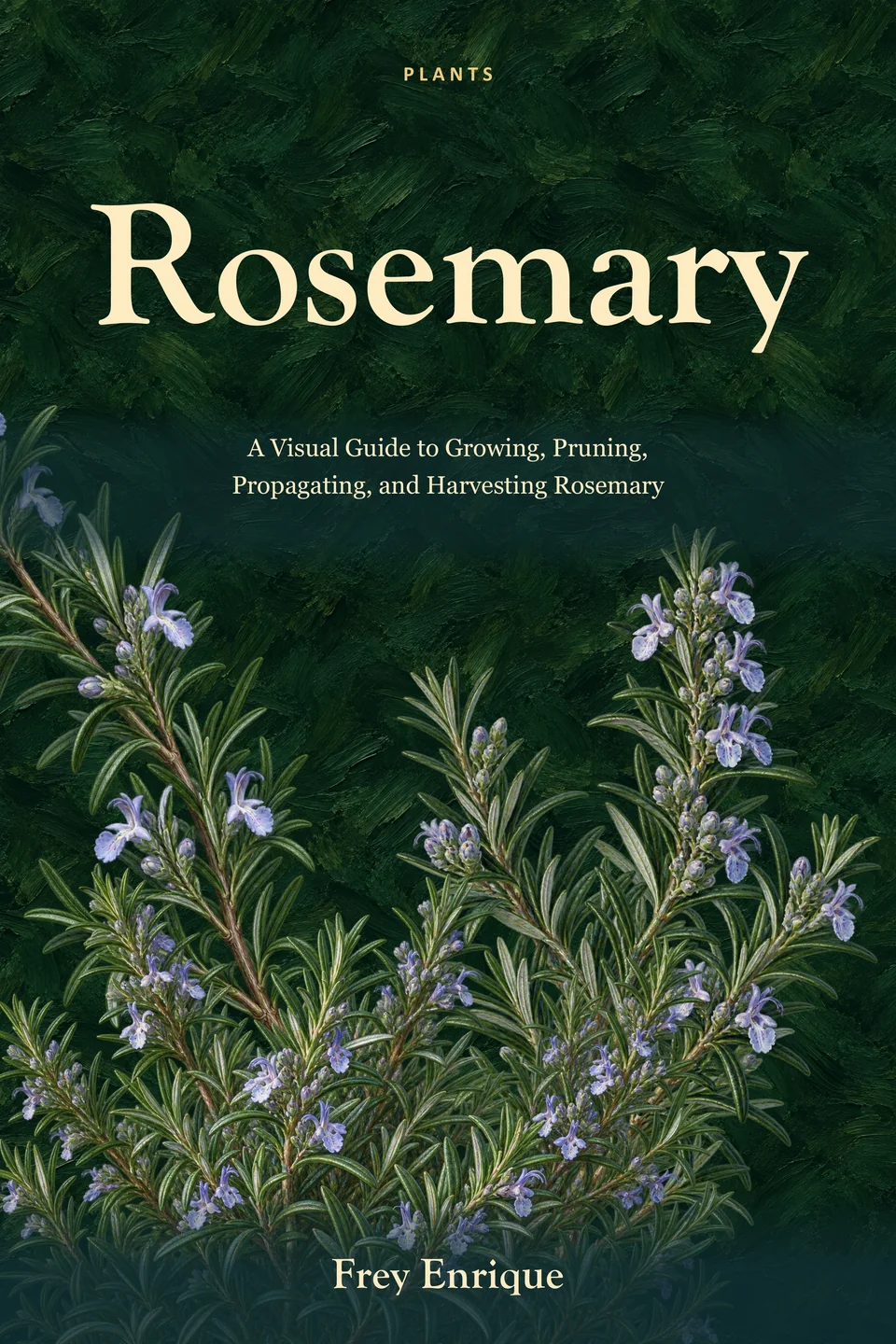 Rosemary — Frey Enrique